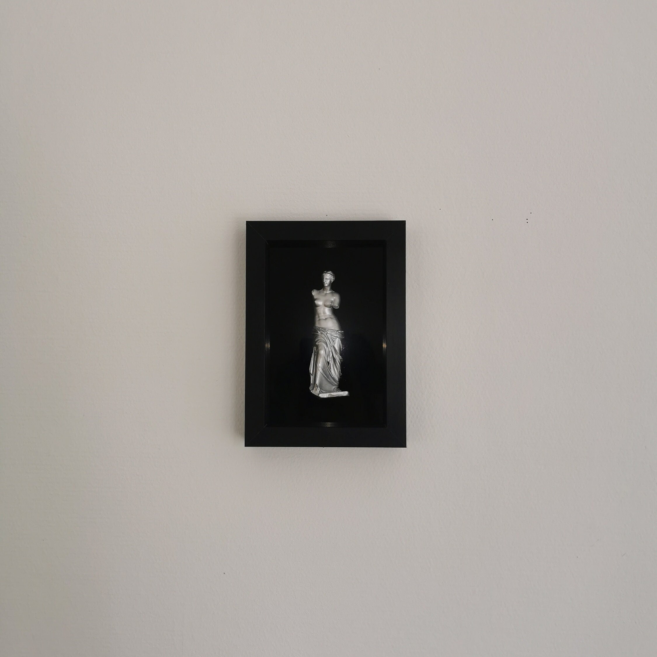 Cadre de Décoration Le Vénus Milo