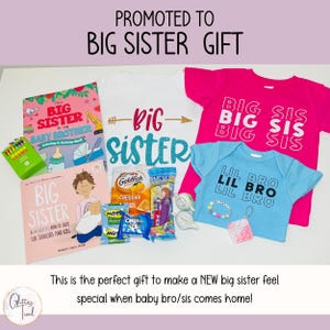 May include: A gift basket for a new big sister, featuring a pink t-shirt with the text "BIG SIS" repeated three times, a blue t-shirt with the text "LIL BRO" repeated three times, a white t-shirt with the text "big sister" in glitter, a book titled "The Big Sister" and a book titled "I'm a Big Sister to my Baby Brother", a box of Goldfish crackers, a box of Oreo cookies, and other small items.