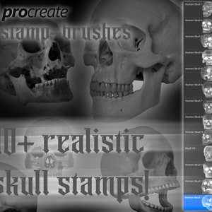 Procreate realistic skull stamp-brushes, brushes for tattoo, painting, printing, procreate brushes, brushset