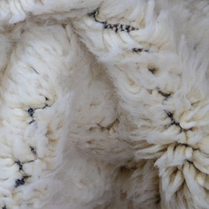 May include: Close-up of a cream-colored, fluffy rug with a textured surface. The rug has a dense pile and is woven with black stitching, creating a subtle pattern. The rug appears soft and inviting.