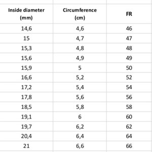 May include: A table showing ring sizes in millimetres and centimetres, along with the corresponding French ring size. The table includes inside diameter, circumference, and French ring size.