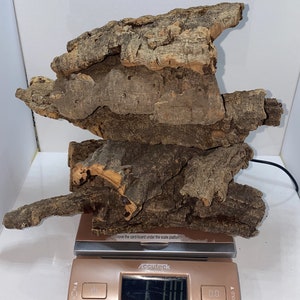 Cork Bark - 1 Pound