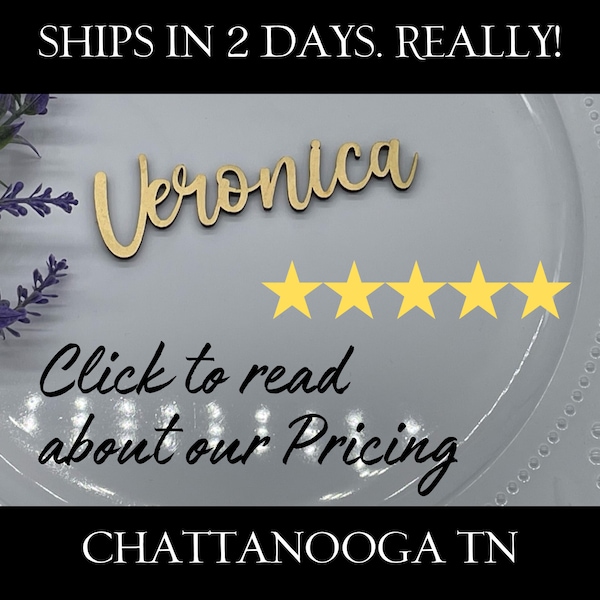 Elegant Custom Place Cards, FAST! Ships in 2 Days! Novel Wood Names, Personalized, Wedding Name Plates | AA27-1 |  Chattanooga TN
