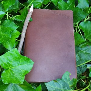 May include: A brown leather journal with a wooden pencil lying on top of it. The journal is surrounded by green leaves.