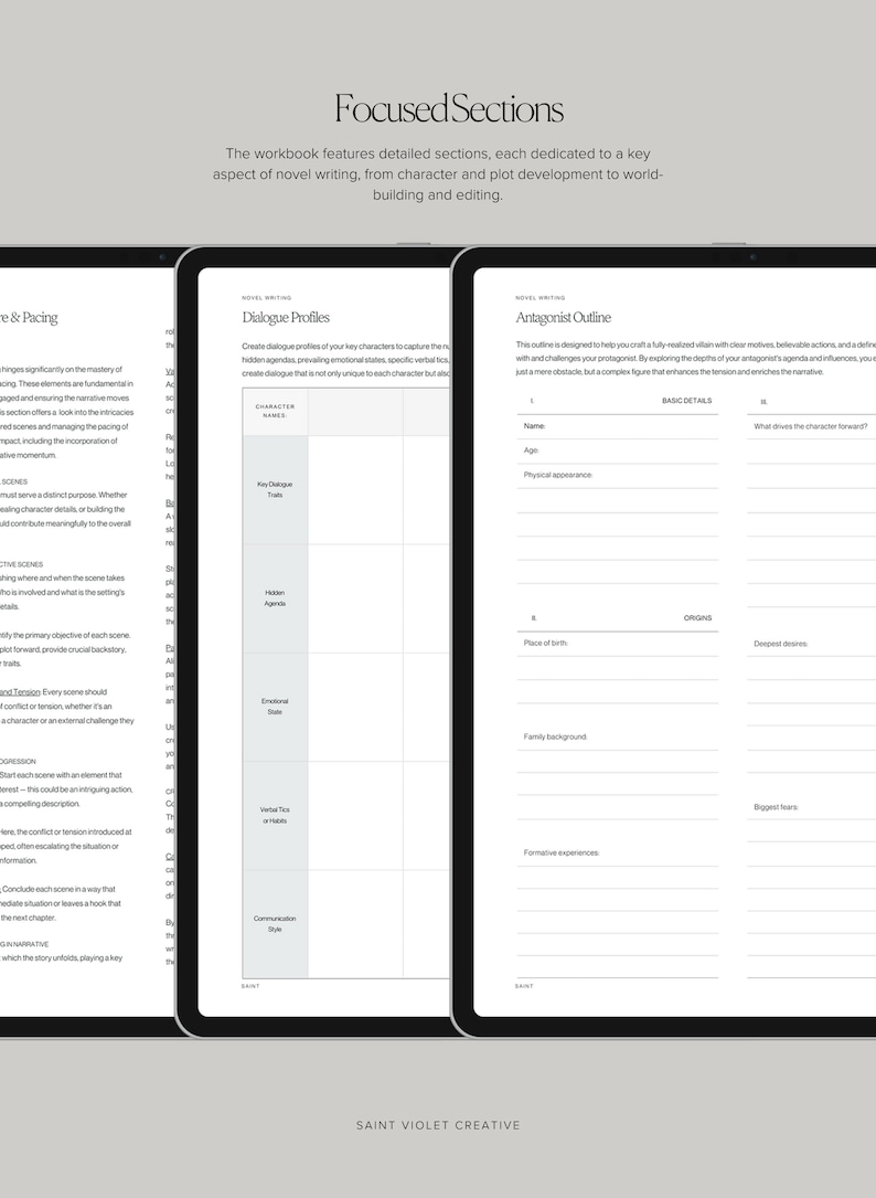May include: A workbook with three pages showing sections for character development, dialogue profiles, and antagonist outlines. The workbook is titled "Focused Sections" and is designed to help writers develop their novels.