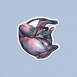 Roach WATERPROOF VINYL STICKER | lurcher, whippet, sighthound illustrated artwork
