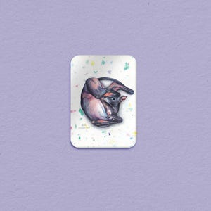 May include: A rectangular magnet with a watercolour illustration of a curled-up animal, possibly a baby kangaroo or wallaby. The animal is depicted in shades of brown, purple, and grey, set against a white background with colourful paint splatters.