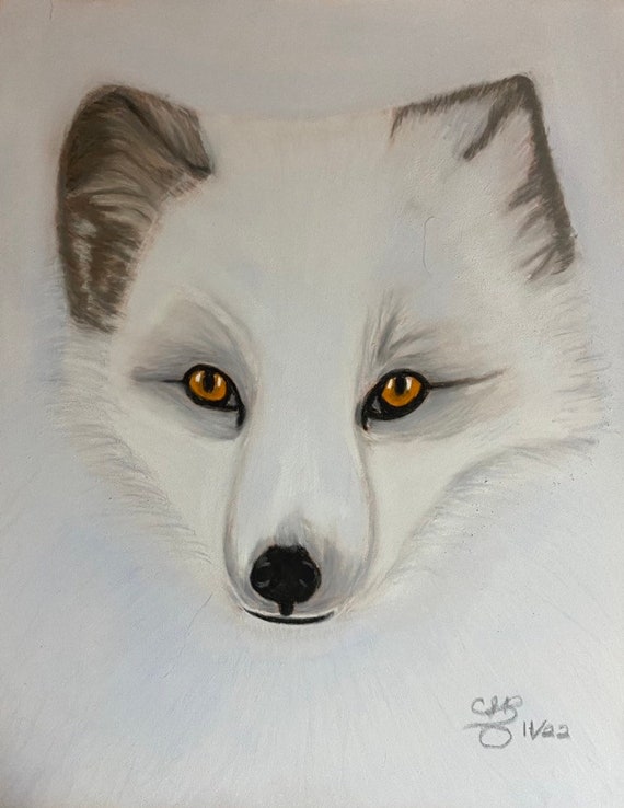 Arctic Fox