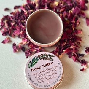 Organic Rose Petal Salve: Herbal Skin Balm, 1 oz