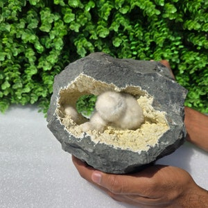 Rare Okenite Geode with Mesolite and Apophyllite Coral Base (5.660Kg)