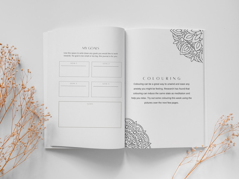 May include: An open journal with a white background and black text. The left page has the title "My Goals" and space to write down four goals. The right page has the title "Colouring" and a black and white mandala design.