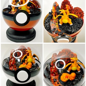 Custom Volcano Poke Terrarium