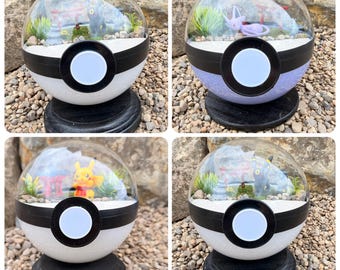 Terrario Zen Garden de 5 pulgadas con envío al día siguiente