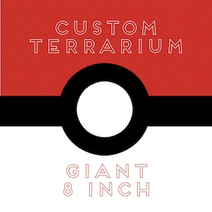 Custom Giant 8 inch Terrarium