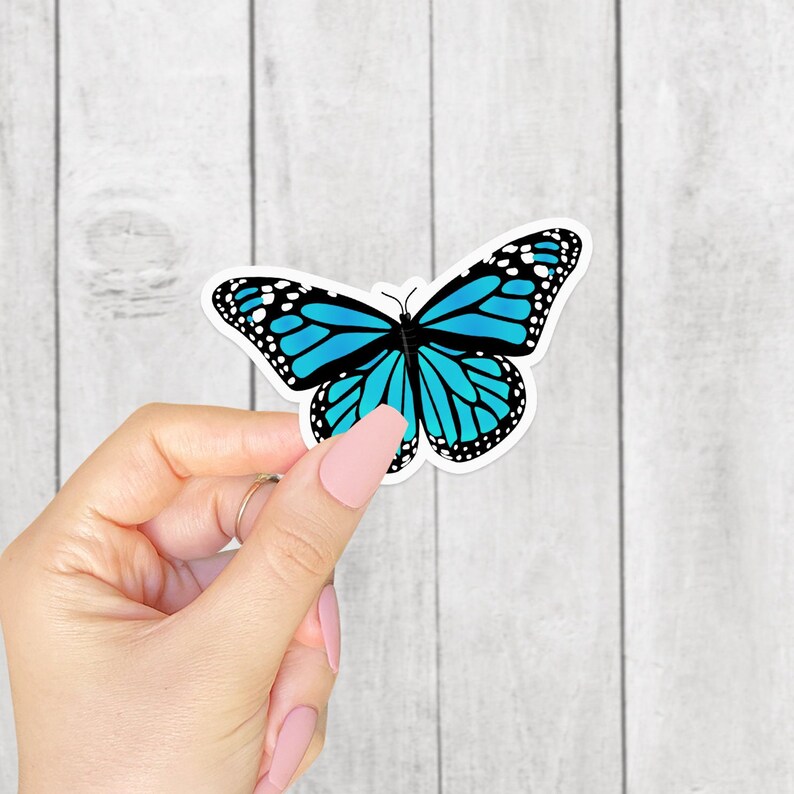 May include: A blue butterfly sticker with black outlines and white spots on its wings. The sticker is on a white wood background.