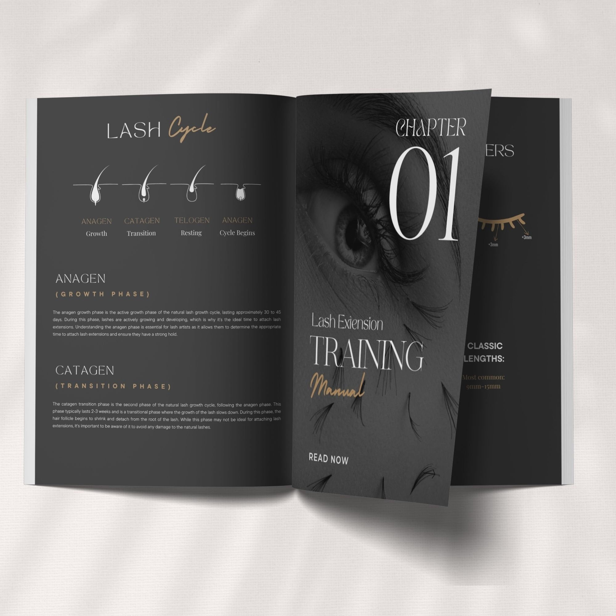 Lash Training Manual | Lash Extension Manual | Lash Ebook Template ...