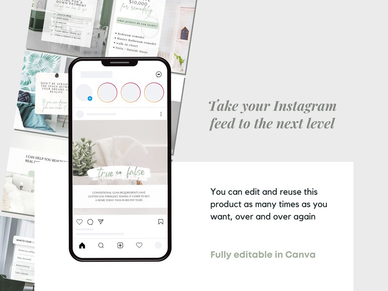 May include: A phone screen displaying a social media post with a light gray background. The post features a light green succulent plant and the text "true or false". The post also includes a caption about conventional loan requirements. The phone screen is surrounded by other social media posts with various designs.