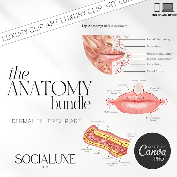 Dermal Filler Lip Anatomy Clipart Bundle For Training Academy Social Media | Veins & Arteries Aesthetics | Facial Blood Vessels Graphic