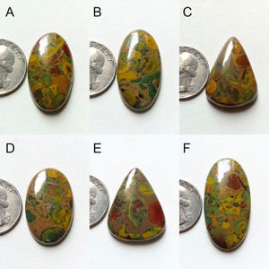 May include: Six cabochon gemstones, each with a unique pattern of brown, green, yellow, and red colors. The gemstones are displayed next to a US quarter for size comparison.