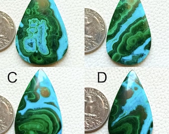 Può includere: Quattro cabochon a forma di goccia di crisocolla verde e blu, ognuno con un motivo unico di colori e trame vorticose. Le pietre sono approssimativamente delle dimensioni di una moneta da 25 centesimi di dollaro americano.