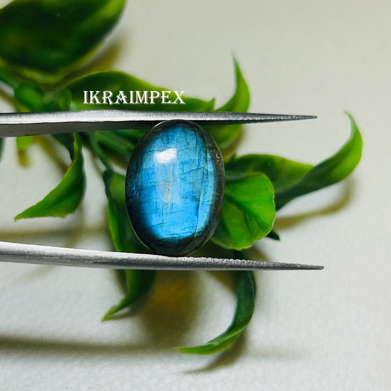 May include: A blue oval-shaped labradorite gemstone with iridescent flashes of color. The gemstone is held in tweezers against a green leafy background.