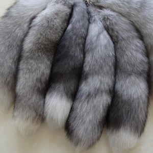 Echter blaugrauer Fuchsschwanz - Bluefrost