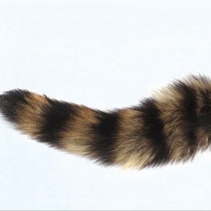 Real Raccoon Tail