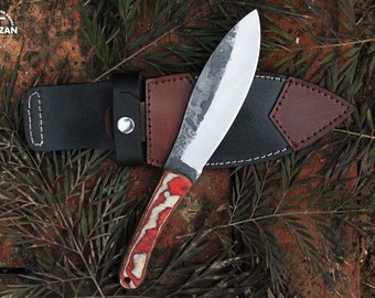 Custom Hand forged Carbon Steel Hunting knife with Color Wood Handle