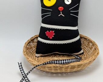 Fancy the Black and White Cat