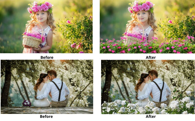 49 Flower Bushes Overlays, Digital Floral Art Frames