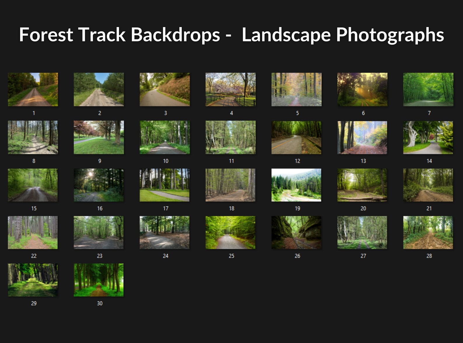 40 Forest Track Digital Backdrops, Photo Backgrounds for Photoshop With ...
