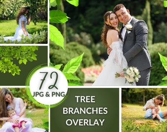 72 Tree Branches Overlay, Green Foliage Photoshop Overlays, Summer Digital Overlays for Photo Editing for Photographers, Spring JPG+PNG Pack