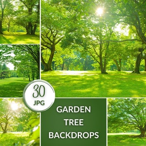 Summer Garden Tree Backdrops, Digital JPG Photo Backgrounds with Green Grass, Trees, Trails, Summer & Spring Backdrop Pack for Photographers