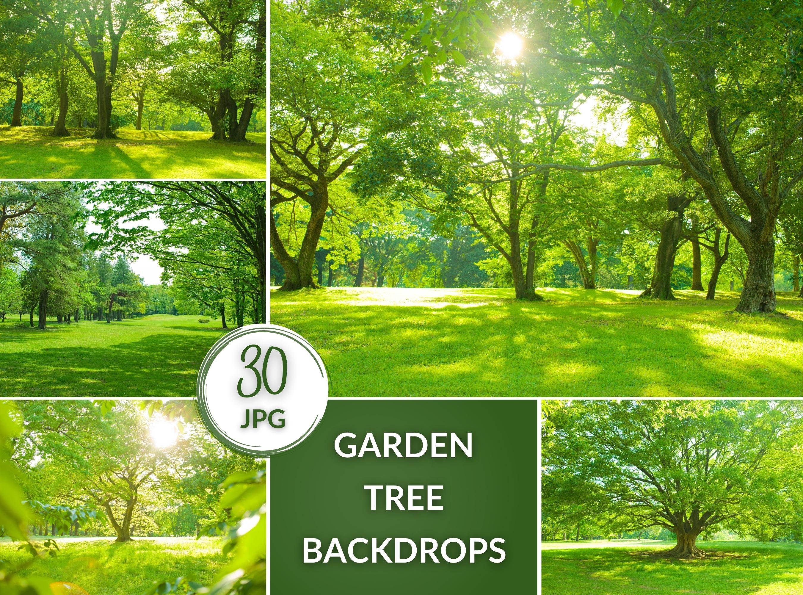 Summer Garden Tree Backdrops Digital JPG Photo Backgrounds - Etsy