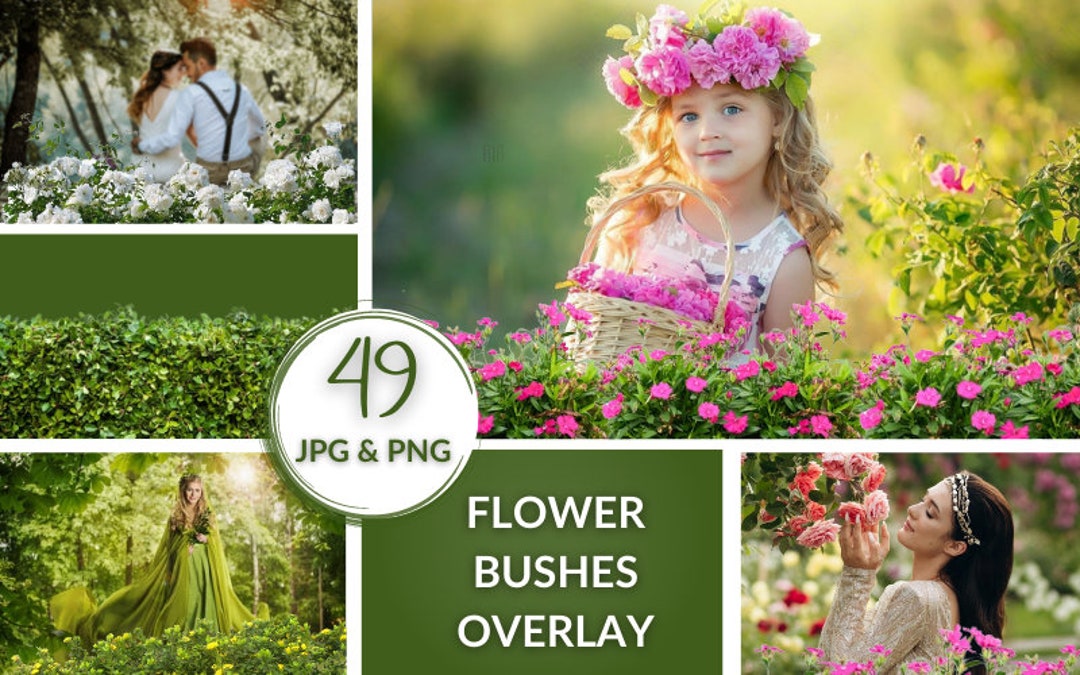 49 Flower Bushes Overlays, Digital Floral Art Frames