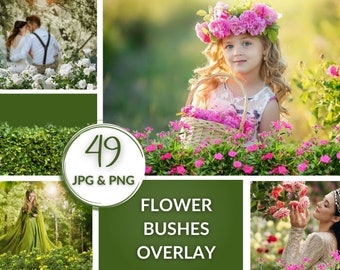 49 Blumensträucher Overlays, Digitale Florale Photoshop Art Rahmen, Blühende äste für Fotobearbeitung für Fotografen, Sommer Pack