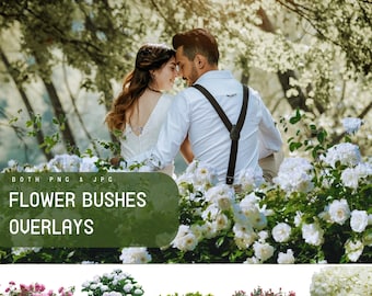 49 Flower Bushes Overlays, Digital Floral Photoshop Art Frames, Flowering Tree Branches for Photo Editing for Photographers, Summer Pack
