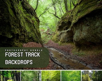 40 Forest Track Digital Backdrops, Photo Backgrounds for Photoshop with Green Grass, Trees & Stump, Summer Backdrop Pack for Photo Editing