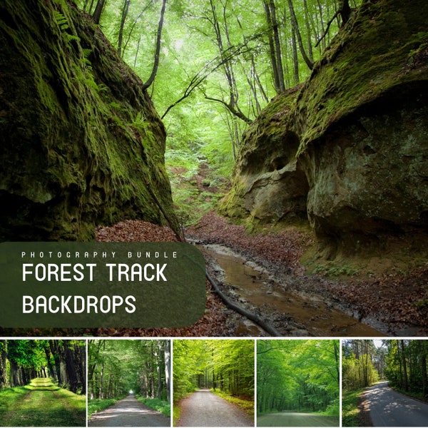 40 Forest Track Digital Backdrops, Photo Backgrounds for Photoshop with Green Grass, Trees & Stump, Summer Backdrop Pack for Photo Editing