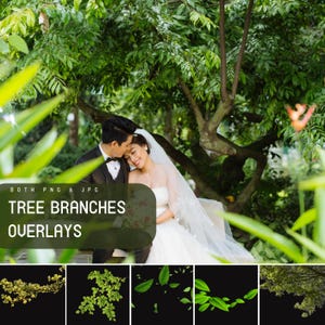 May include: A set of four digital overlays featuring tree branches with green leaves. The overlays are isolated on a black background and can be used to add a natural touch to photos.