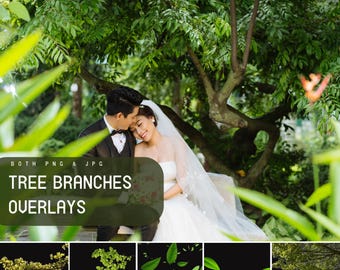 Tree Branch Overlay, Green Foliage Photoshop Overlays, Summer and Spring Overlays, Botanical Overlays, Green branches, falling leaves