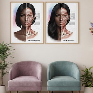 May include: Two framed art prints depicting a woman's face, one side showing the facial muscles. The text "FACIAL MUSCLES" is below each image. The prints are in a room with two armchairs and a potted plant.
