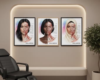 May include: Three framed prints depicting the facial muscles of diverse individuals. Each portrait is split, showing the face on one side and the muscle structure on the other. The text "FACIAL MUSCLES" is at the bottom of each frame. A black massage chair is in the foreground.