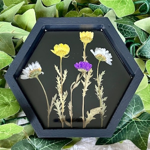 Floral Wall Art/Dried Flower Wall Art/Home Decor/Whimsey Decor/Resin Wall Art