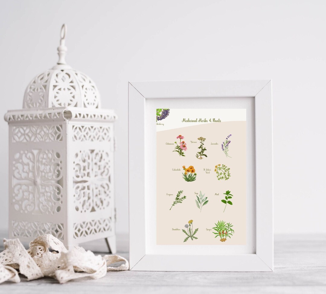 Herb Lover Wall Art, Herbal Medicine Wall Art, Homestead Wall Art