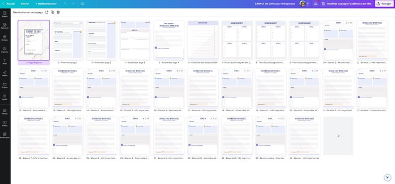 CARNET DE SUIVI de séance pour professionnels thérapeutes, sophrologues... anamnèse, fiche séance, synthèse téléchargement numérique imagem 8