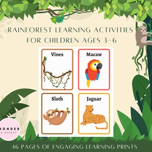 Rainforest Themed Learning Activities for Children