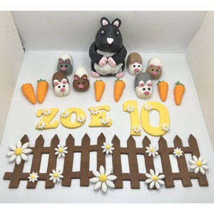 Hamster Cake Topper, Pet Cake Topper, Cute Cake Topper, Animal Cake Topper, Handmade Edible Cake Topper