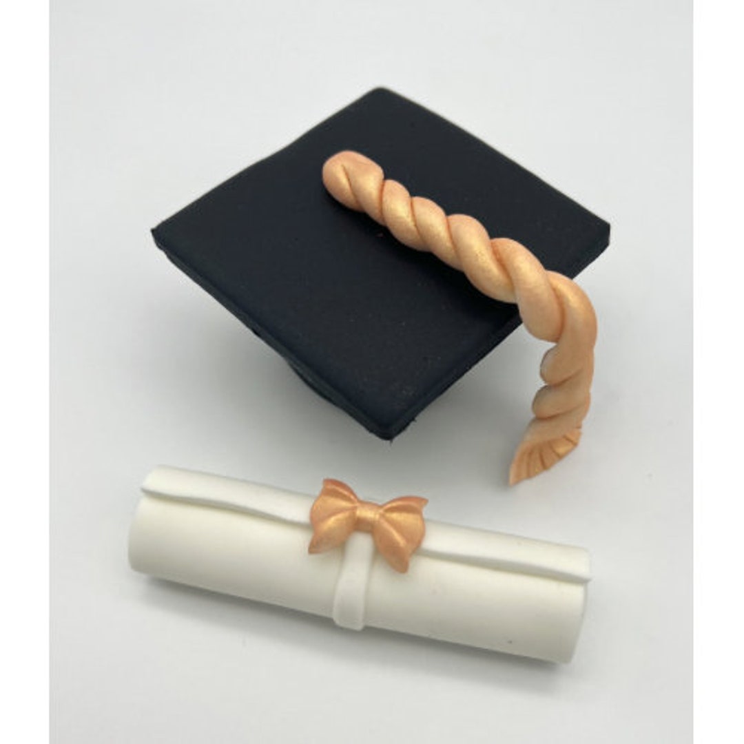 Graduation Cake Topper, School Cake Topper, Handmade Edible Cake