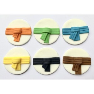 Karate Belt Themed Handmade Edible Cake Toppers